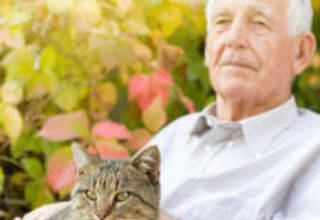 Pets Benefit the Health, so How Do You Find the Right Pet For Your Dad?