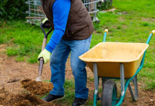 Safe Gardening Tips For Seniors